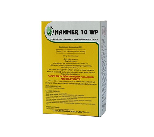 HAMMER 10 WP