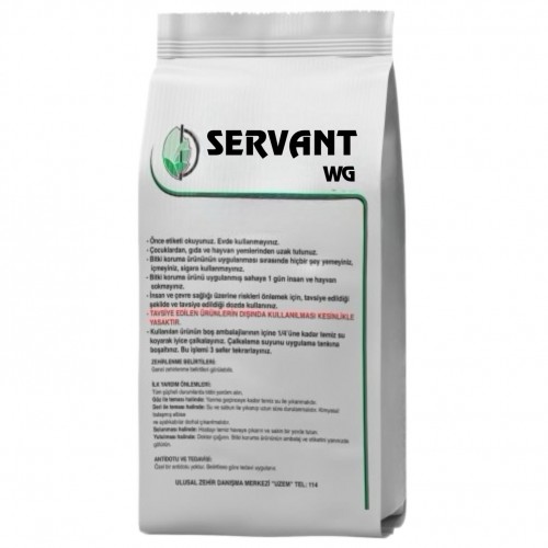 SERVANT WG