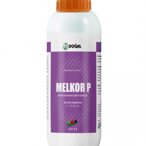 MELKOR P