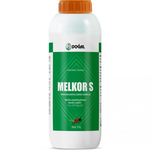 MELKOR S